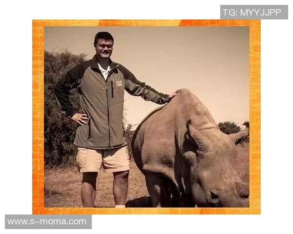 姚明变形记：从篮球巨星到艺术创作的奇妙旅程与视觉冲击